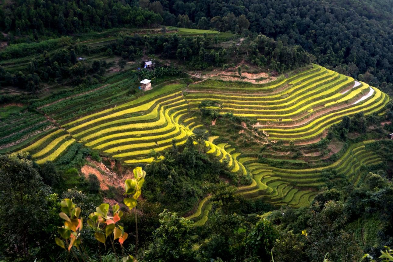 Ha Giang Loop